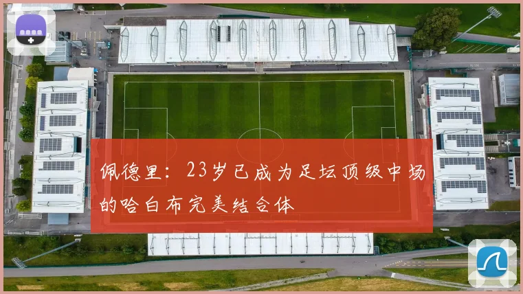 佩德里：23岁已成为足坛顶级中场的哈白布完美结合体