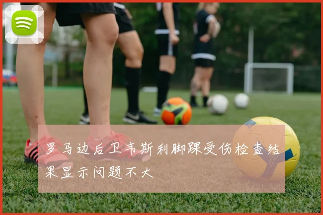 罗马边后卫韦斯利脚踝受伤检查结果显示问题不大