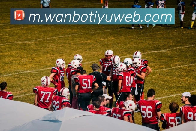 App Interface Preview