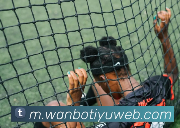 数据防护可视化